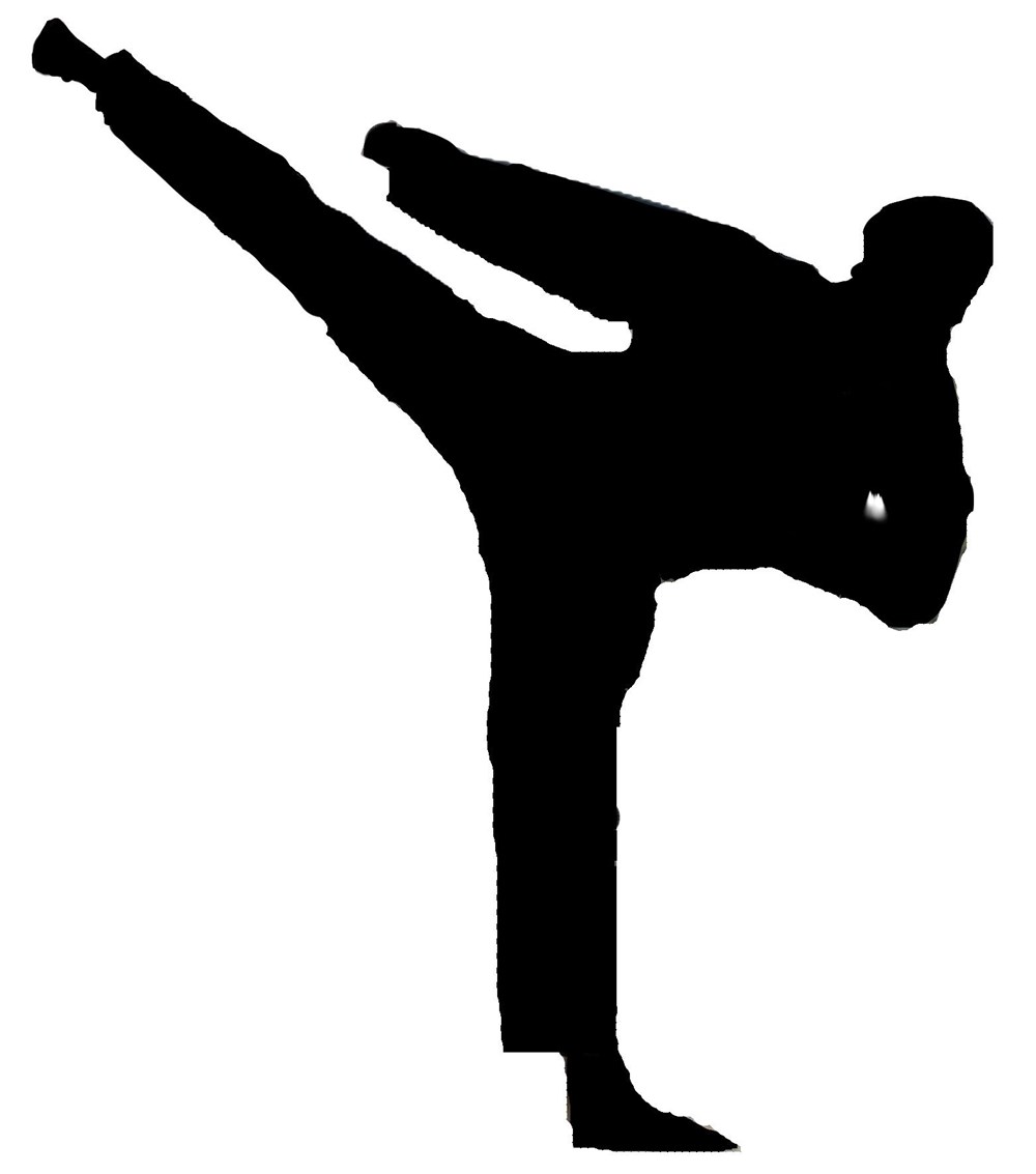UNIVERSAL MARTIAL ARTS