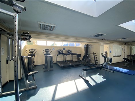 Fitness Suite